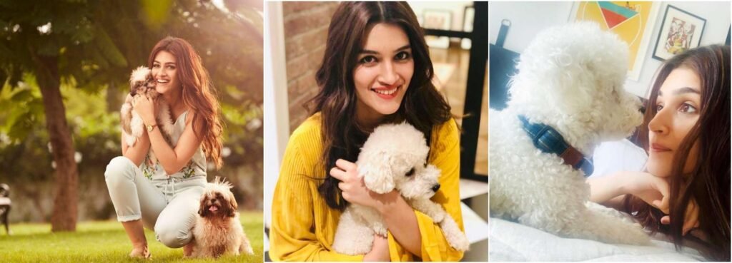 మనుషుల కంటే కుక్కలే బెటర్.. అంటున్న హీరోయిన్స్ ఎవరో తెలుసా?? 12 image 7