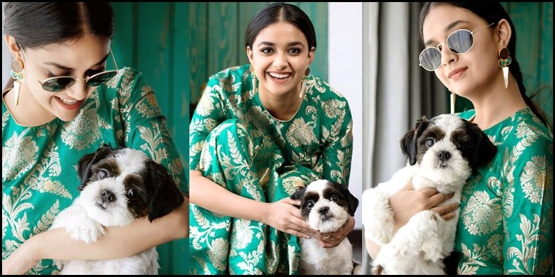 మనుషుల కంటే కుక్కలే బెటర్.. అంటున్న హీరోయిన్స్ ఎవరో తెలుసా?? 3 keerthy030420 1