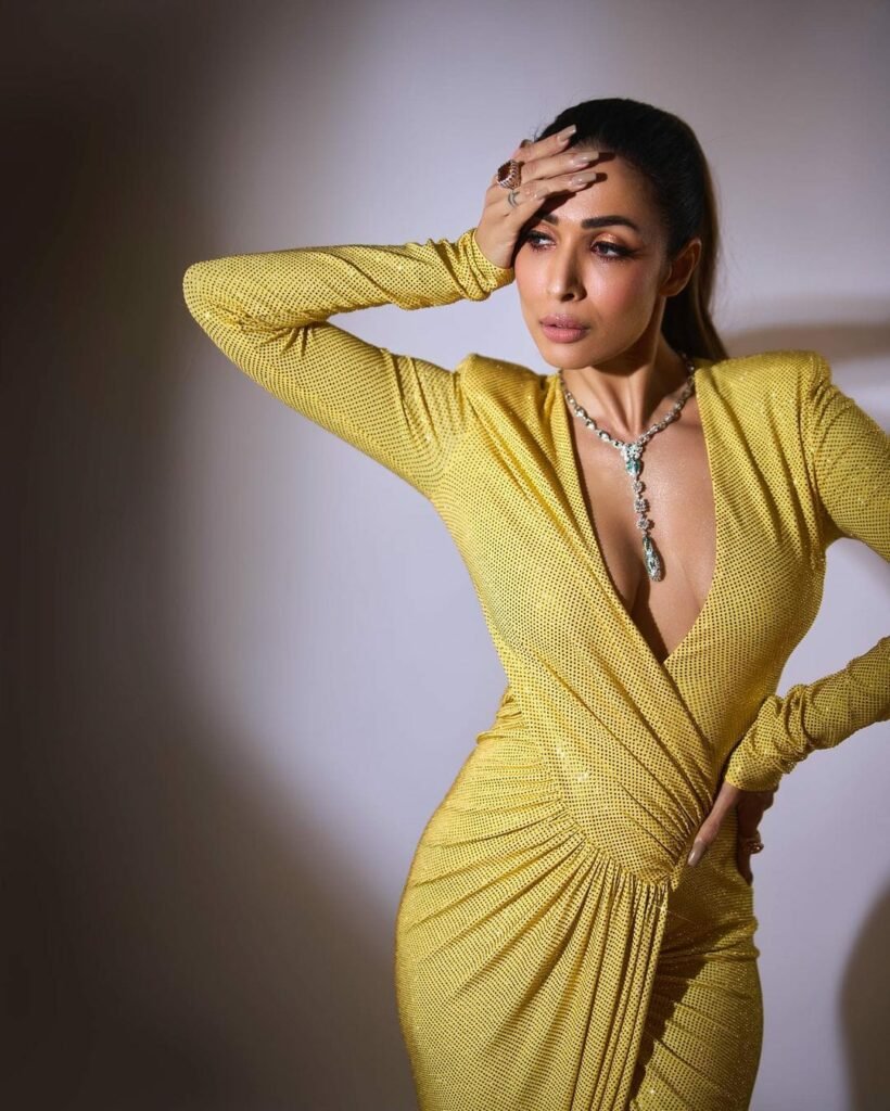 Malika Arora : అబ్బబ్బ ఏమి ఒంపులు..ఏం సొంపులు తన్మయంలో మునిగిన మలైకా malika-arora-latest-glamorus-photo-shoot-stills