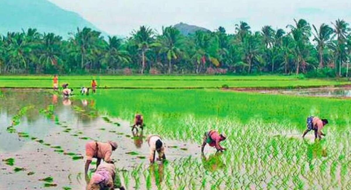 AP GOVT: ఏపీ రైతులకు అలర్ట్.. ఈ నెల 12 వ తేదీ వరకే గడువు... 2 FORMERS