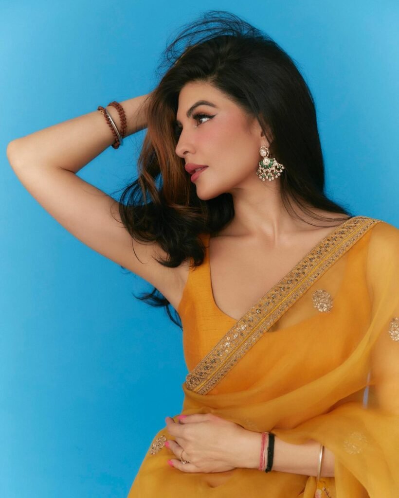 Jacqueline Fernandez : చీర కట్టుతో చెమటలు పట్టిస్తున్న రామ్సేతు నటి 2 jacqueline-fernandez-promoting-festive-fashion-with-shiffon-saree