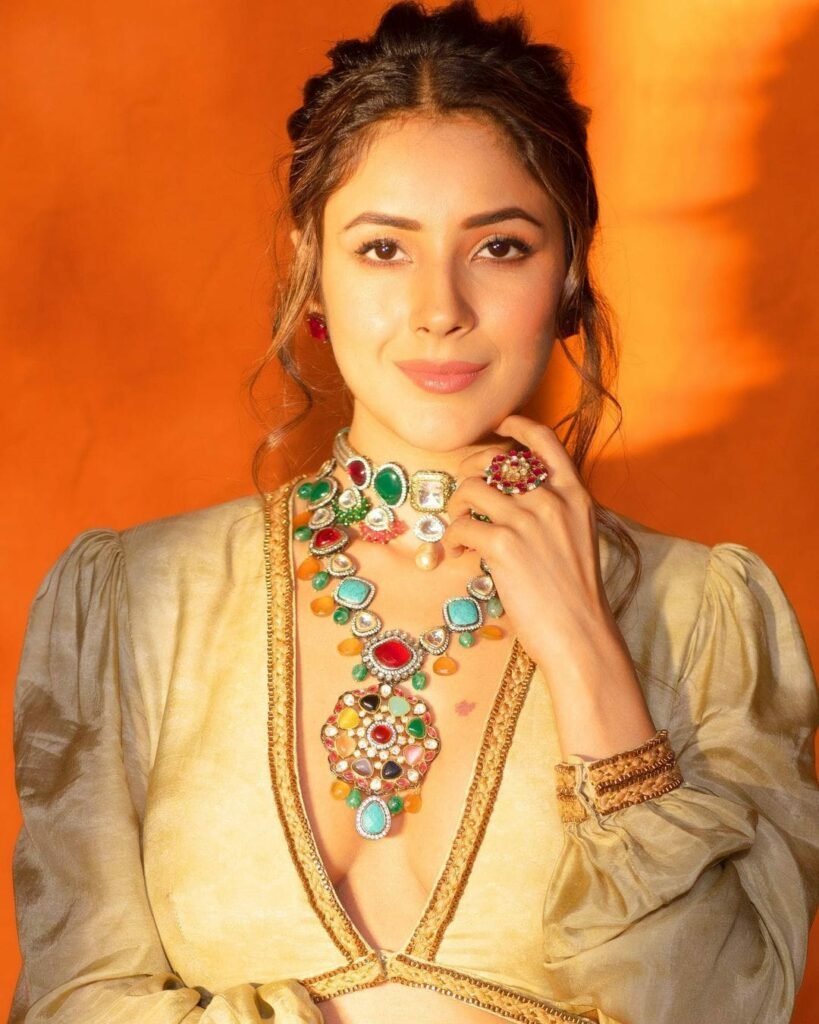 Shehnaaz Gill : హాట్ ఫోజులతో కేకపెట్టిస్తోన్న బాలీవుడ్ నటి 2 shehnaaz-gill-trending-glamours-looks-in-ethnic-lehenga-set