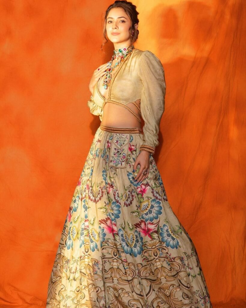 Shehnaaz Gill : హాట్ ఫోజులతో కేకపెట్టిస్తోన్న బాలీవుడ్ నటి 5 shehnaaz-gill-trending-glamours-looks-in-ethnic-lehenga-set