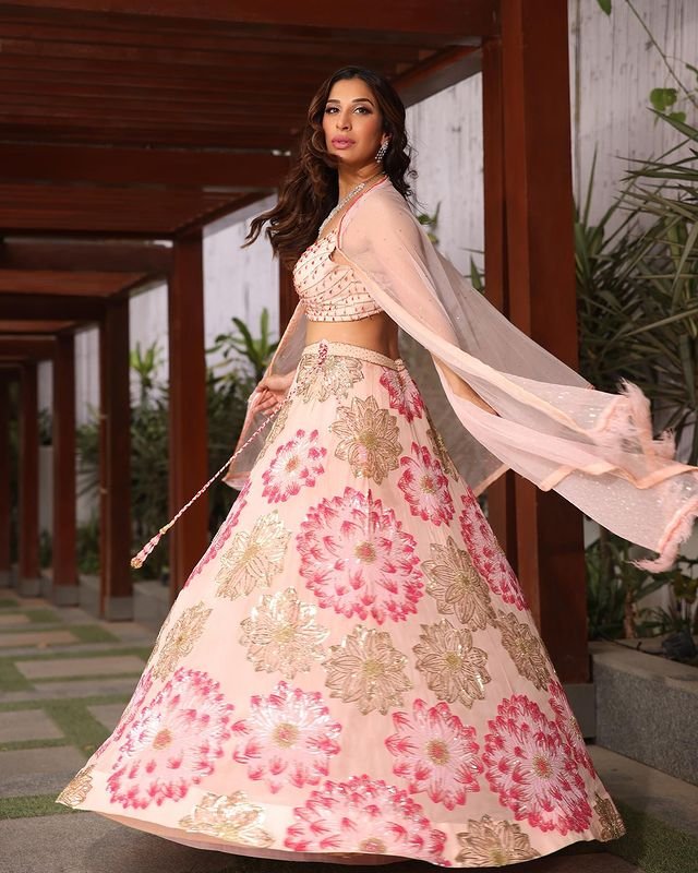 Sophie choudry : ఎద అందాలతో పిచ్చెక్కిస్తోన్న బాలీవుడ్ బ్యూటీ 4 sophie-choudry-lehenga-is-here-to-serve-fresh-festive-vibes