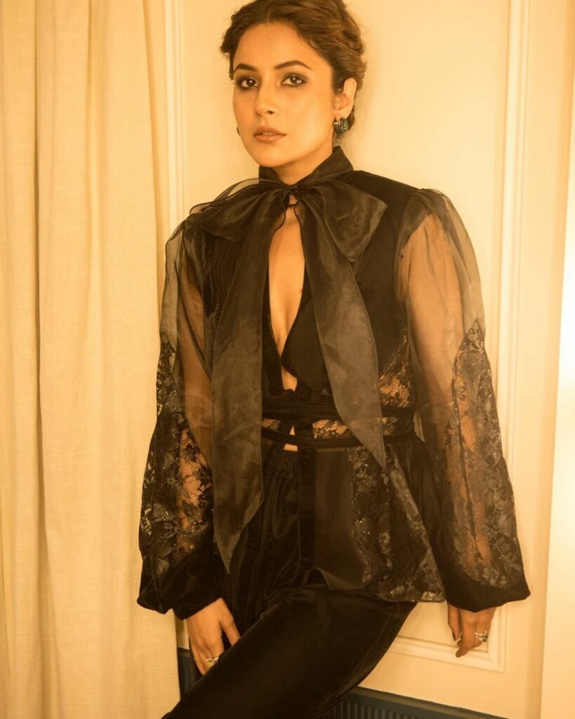 Shehnaaz Gill : కైపెక్కించే కళ్ళతో హీట్ పెంచుతోన్న బ్యూటీ shehnaaz-gil-glamours-looks-in-lace-detail-top-and-pants-set