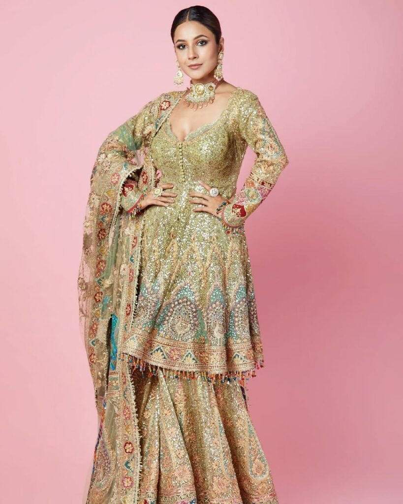 Shehnaaz Gill : పిచ్చెక్కిస్తోన్న షెహ్నాజ్ లుక్స్ 3 shehnaaz-gill-stunninc-stills-in-nyude-colour-sharara-set