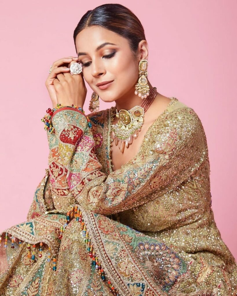 Shehnaaz Gill : పిచ్చెక్కిస్తోన్న షెహ్నాజ్ లుక్స్ 4 shehnaaz-gill-stunninc-stills-in-nyude-colour-sharara-set