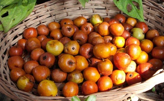 Health Tips : ఈ 5 ఆయుర్వేద మందులతో జలుబు ఇట్టే మాయం 4 health-tips-best-five-ayurvedic-medicine-for-cough-and-cold